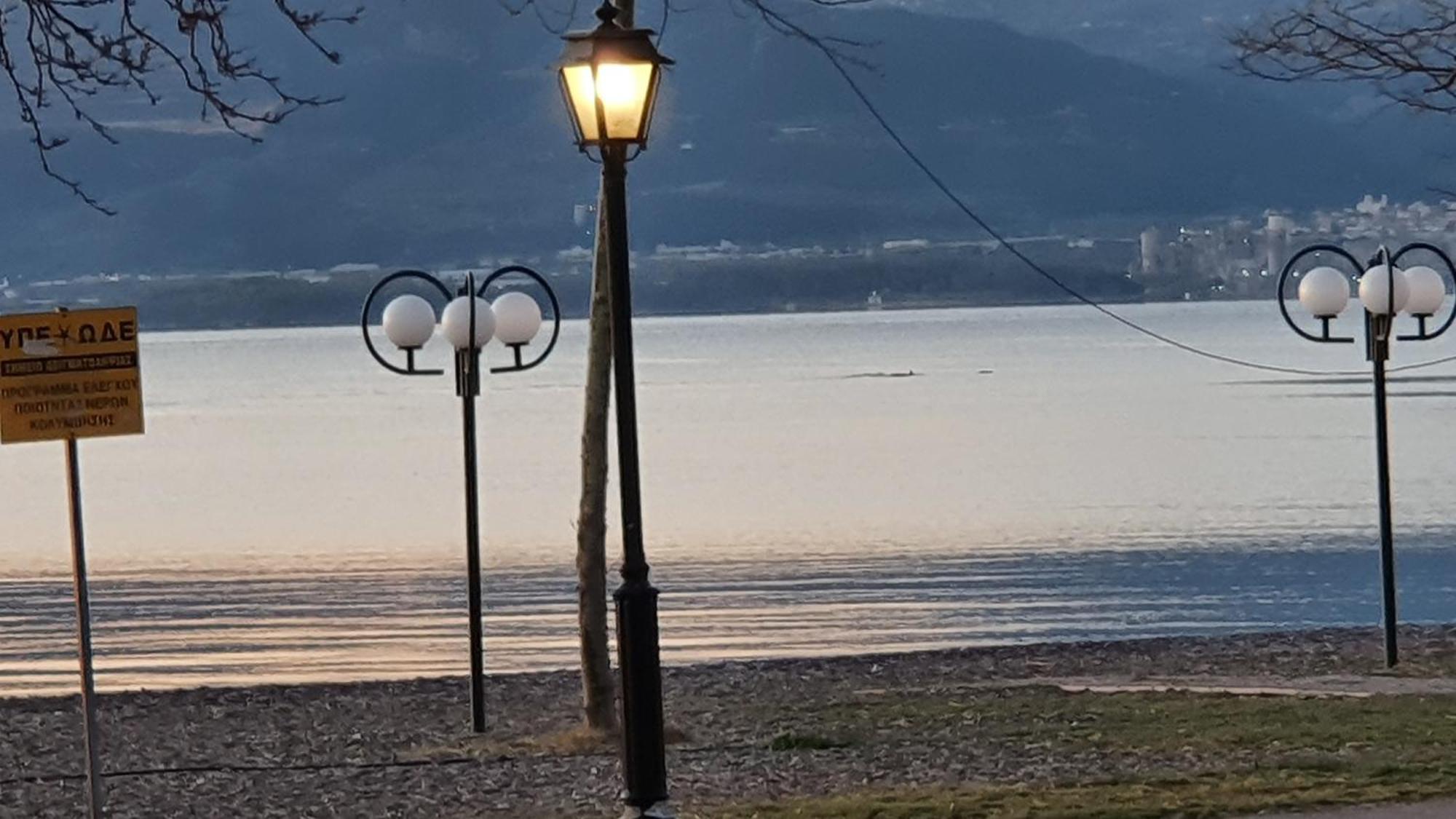 Nafpaktos Seaside Apartment Zewnętrze zdjęcie